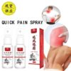 Instant Pain Relief Herbal Spray